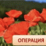 Профилактическое мероприятие «МАК» и ответственность за произрастание дикорастущей конопли - Калтасинский район