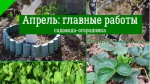 Апрельский план работ в саду