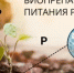 Биопрепараты. В чем их преимущество - Калтасинский район
